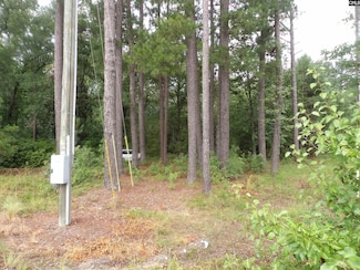 4610 Platt Springs Rd, West Columbia, SC 29170