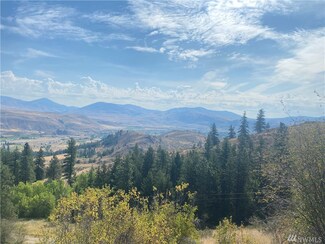 0 Wildcat Ridge Rd Unit 1636795, Twisp, WA 98856
