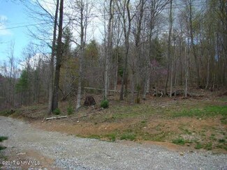 1670 Willis Hollow Rd, Shawsville, VA 24162