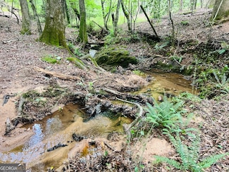 0 Moriah Church Rd - 16 01 Acres, Colbert, GA 30628