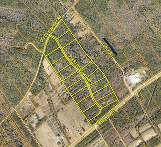 0 Placid Dr Unit 22029823, McClellanville, SC 29458