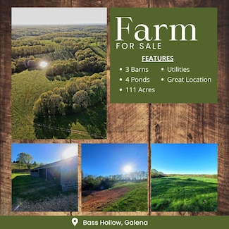 000 Bass Hollow Rd, Galena, MO 65656