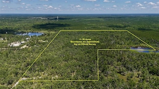 00 Leroy Lyons Rd, Perry, FL 32348