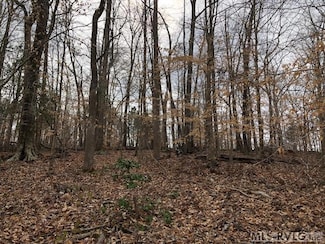 Lot 20 Barker Rd, Ebony, VA 23845