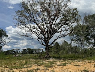 0 Busy Corner Rd, Gloster, MS 39638