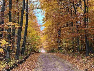 TBD N Ayr Rd, Pellston, MI 49769