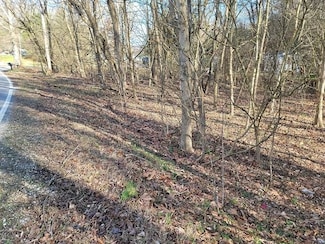1225 County Road 15, South Point, OH 45680