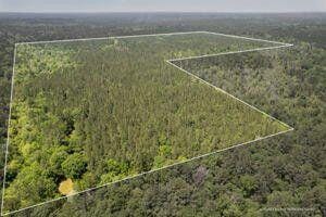 128 acres Armstrong Rd, Brooklyn, MS 39425