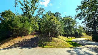 314 Willow Top Ln, Lake Lure, NC 28746