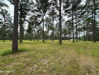 0 Hidden Pines Ln, Flora, MS 39071