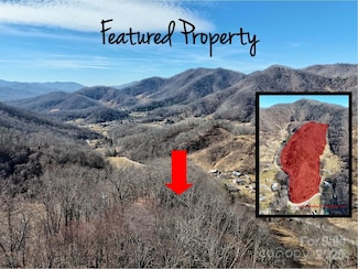 00 Wilson Cove Rd, Canton, NC 28716