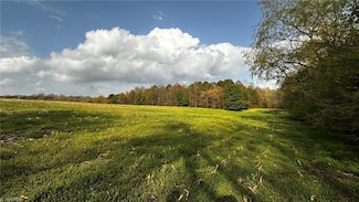 446 Anderson Farm Rd, Ronda, NC 28670
