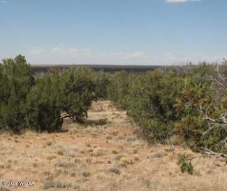 0 201-33-005 Chevelon Unit 250892, Heber, AZ 85928