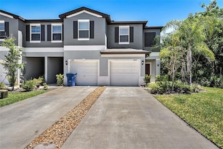23378 Papyrus Way, Lutz, FL 33549
