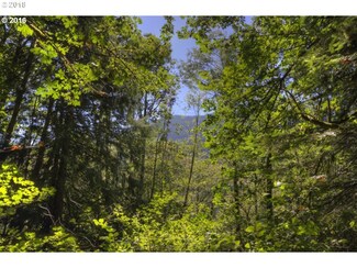 25759 E Bright Ave, Mount Hood Village, OR 97067