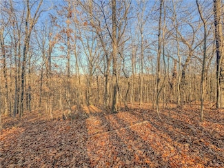 Lot 13 Block 2 Stilton Ln, Bella Vista, AR 72714