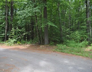 2C Hobblebush Ln, Carlisle, MA 01741