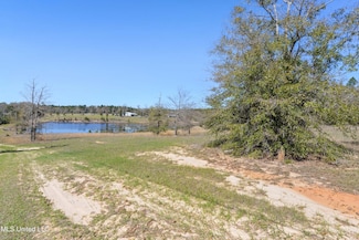 14119 Highway 98, Lucedale, MS 39452