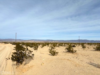 0 Primrose Ln Unit JT25040892, Twentynine Palms, CA 92277