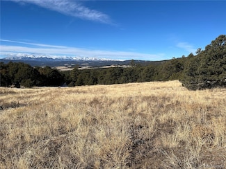 1501 County Road 628, Gardner, CO 81040