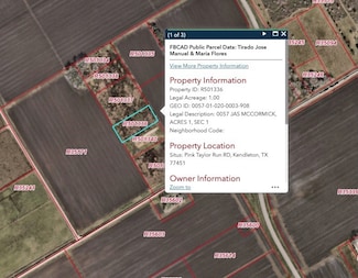 000 Pink Taylor Run Rd, Beasley, TX 77417