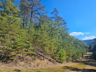 19 National Forest Dr Unit 19, Milam, WV 26838