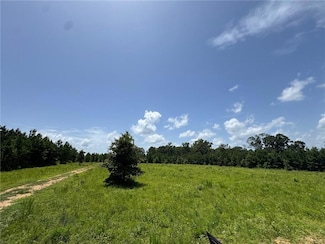 315 Gulde Rd, Trout, LA 71371