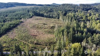 0 Cedar Creek Rd, Toledo, WA 98591