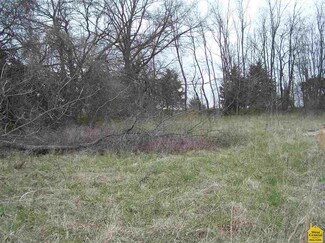 13135 Dick Rd, Lincoln, MO 65338