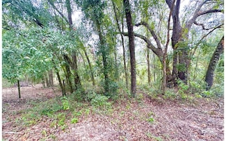 000 SE Sunset Dr, Mayo, FL 32066
