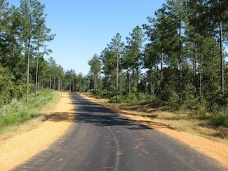 Lot 18 Jo Ann Dr, Sumrall, MS 39482