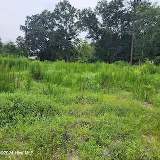 E1107 Laurel Lake Rd, Salemburg, NC 28385