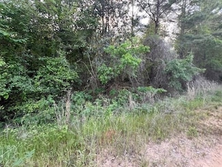 0 Oakey Streak Rd Unit 25219, Red Level, AL 36474