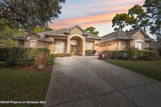 5351 Championship Cup Ln, Spring Hill, FL 34609
