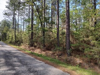 No Magnolia Ln, Poplarville, MS 39470