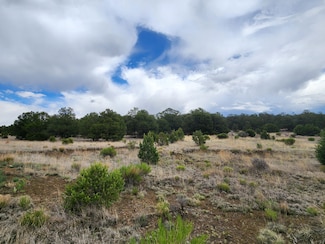 14 Conifer, Pie Town, NM 87827