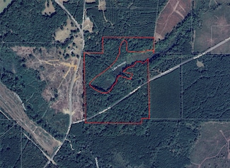 242 Slaughter Rd, Homer, LA 71040