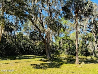 0 Elizabeth St, New Smyrna Beach, FL 32168
