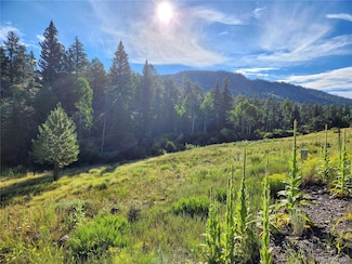 274 Church Creek Dr, South Fork, CO 81154