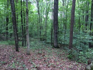 0 Shamrock Ln Unit 38 201819076, Birdseye, IN 47513