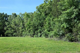 1018 Sycamore Creek Dr, Wentzville, MO 63385