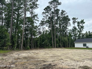 603 N Timberly Ln, Burgaw, NC 28425
