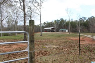 1014 County Road 265, Roanoke, AL 36274