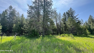 600 Rock Springs Rd, Athol, ID 83801