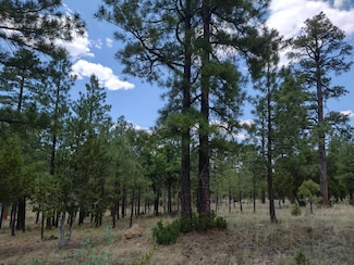 Lot 45&46 Katie's Way, Happy Jack, AZ 86024