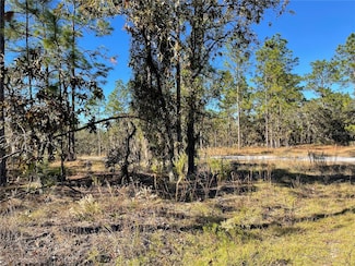 Lot 1 SE 131st Ave, Dunnellon, FL 34431