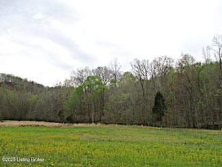 Lot 38 Sulphur Lick Rd, New Hope, KY 40052