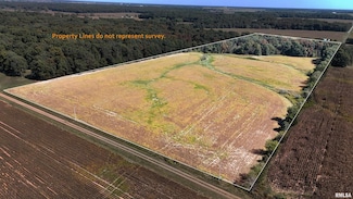 000 E Tallowtree Dr, Songer Township, IL 62899