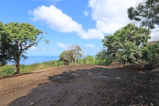 76-5104 Hooholo Place, Holualoa, HI 96725