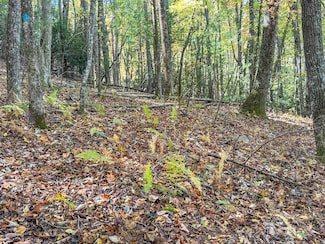 345 Christa Ln, Arden, NC 28704